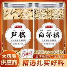 芦根白茅根中药材芦苇根白芦根茶茅草根毛根泡水泡茶的功效搭藕节