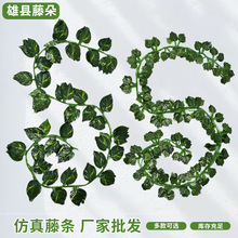 ���Q�����ٗl�Gɫֲ���ٗl�ܵ��b��ړ�����Gֲ��������ˮ�ܾG�~