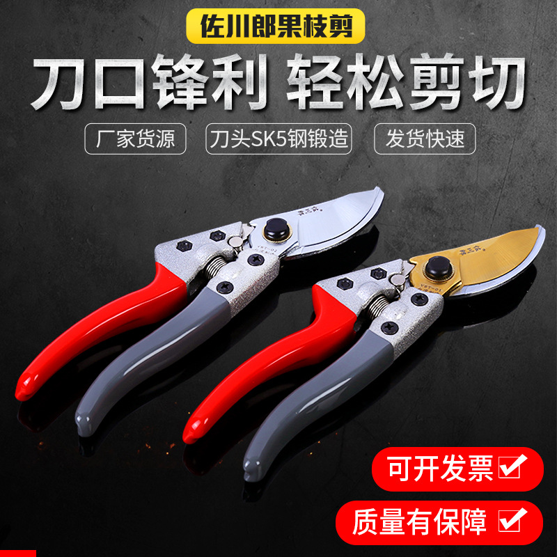 修枝剪刀花剪园艺剪花艺修剪树枝剪刀果树剪花枝剪子修花粗枝省力