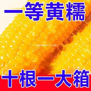 �|���SŴ������հ��b��Ŵ���װ��������׼�ʳճ���״���ػ�����