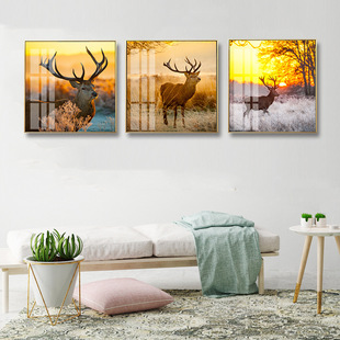 �mޱ��5D���w���ɮ��X�Ͻ����Ψ���ڮ���ˇ�g�b�Ϧ���¹
