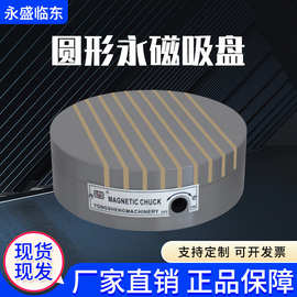 圆形条形永磁吸盘x51系列125型 厂家现货销售 可制作非标异型吸盘
