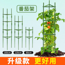 攀岩植物花园格子架支撑番茄笼黄瓜蔬果种植爬藤花支架跨境