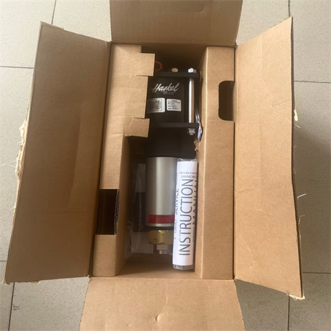 正品美国HASKEL气体增压泵59015高压气体和流体控制设备全新