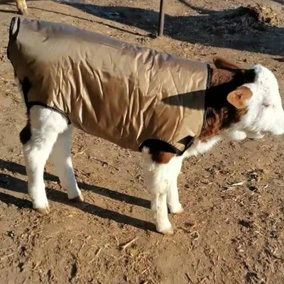 calf keep warm Vest Cold proof clothes Vest Plush thickening Warm clothing Calf coat Calf heat preservation Vest
