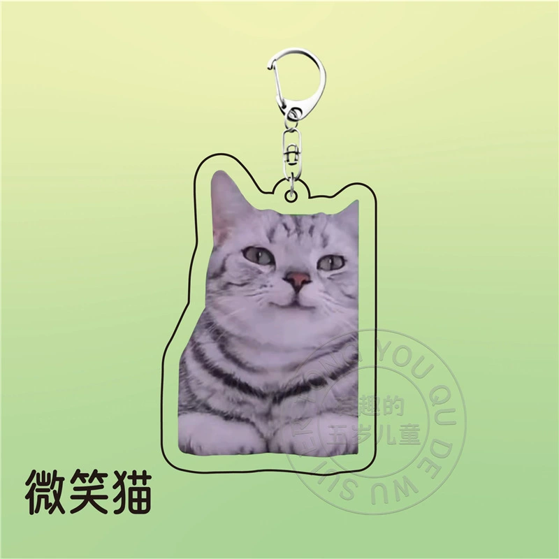 Acrylic cute keychain, backpack, pack, pendant for friend