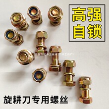 �����C��Ƭ���쌣���ݽz12.9���ߏ����B노ۺ��S�|���t�����C���