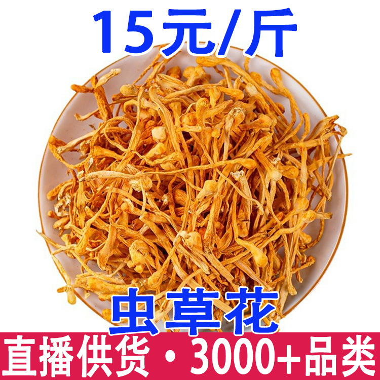 虫草花 蛹虫草 虫草花粉 食用菌北虫草 孢子头 金虫草 产地货源