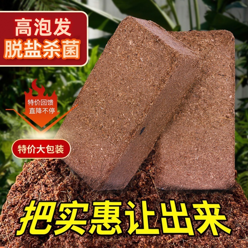 Siweibo Coconut Brick Nutritious Soil Universal Coconut Soil Coconut Bran Thick Coconut Shell Flower Growing Vegetables Low Salt Planting Large Brick Siweibo Coconut Brick Nutritious Soil Universal Coconut Soil Coconut Bran Thick Coconut Shell Flower Growing Vegetables Low Salt Planting Large Brick