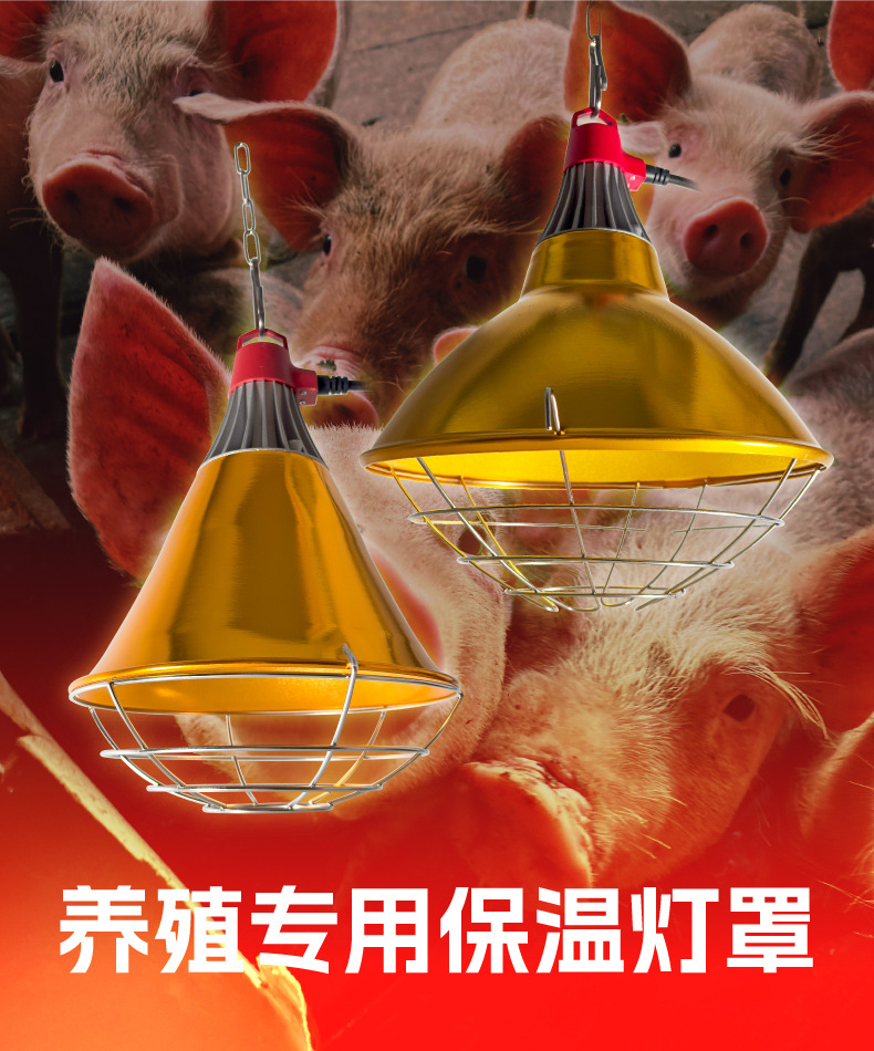 ARISE灯罩详情_A.jpg
