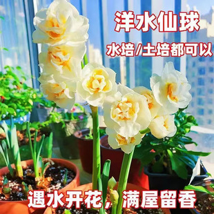 ����ˮ�ɻ��N��ˮ������ֲ������҃�ˮ�B��������������������