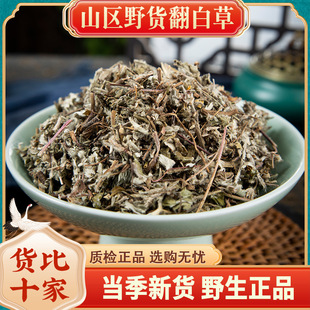 ���ײ�500��g��؛�����w���鷬�ײ����ۿඡ��g���{ؕƷ