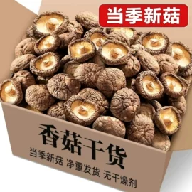 速溶咖啡;传统糕点;豆类零食