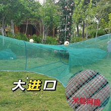 ���]���ڔr�~�W���־W�w�C���~�\С���r�\���M�����ӾW���q�S�X�\