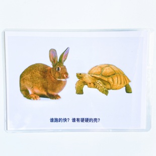 Children's Common Sense Questioning Card Enhancing Logical Thinking Cognition Language Development Retardation Training Teaching Aware