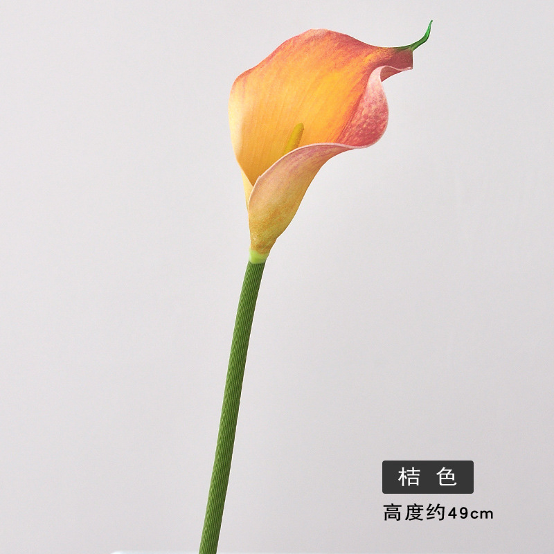 오렌지