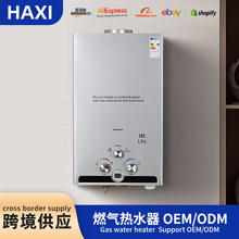 跨境出口家用燃气热水器液化气热水器免零水压烟道式天然气热水器