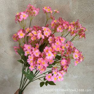 ��Y�b��滨��ͩ ��c�û�����ֹ������ҾӔ[����ˇ�ٻ��쾰