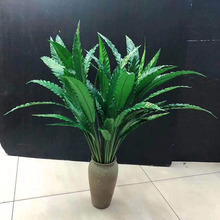���������~�� PU�~�ʹ��m�����F�~ �҃��b��֦�r�F�~ާ�ֲ��