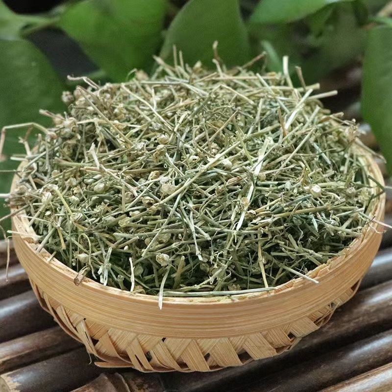 Hedyotis Diffusa Bai Hua She She Cao Dried Whole Herb 500g Traditional Chinese Herbal Tea and Decoction Ingredient in use