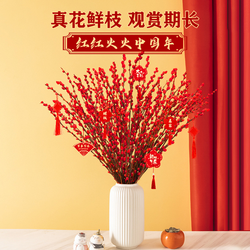 银柳年宵真花鲜枝客厅干花摆件大支落地红色年宵花卉室内干支红柳
