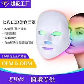 电子美容仪;面罩美容仪;其他美体瘦身