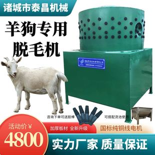 �AͲ��ʽ����ë�C�������Ԅ�Ó��ë�C����Óë�C����Óë�C