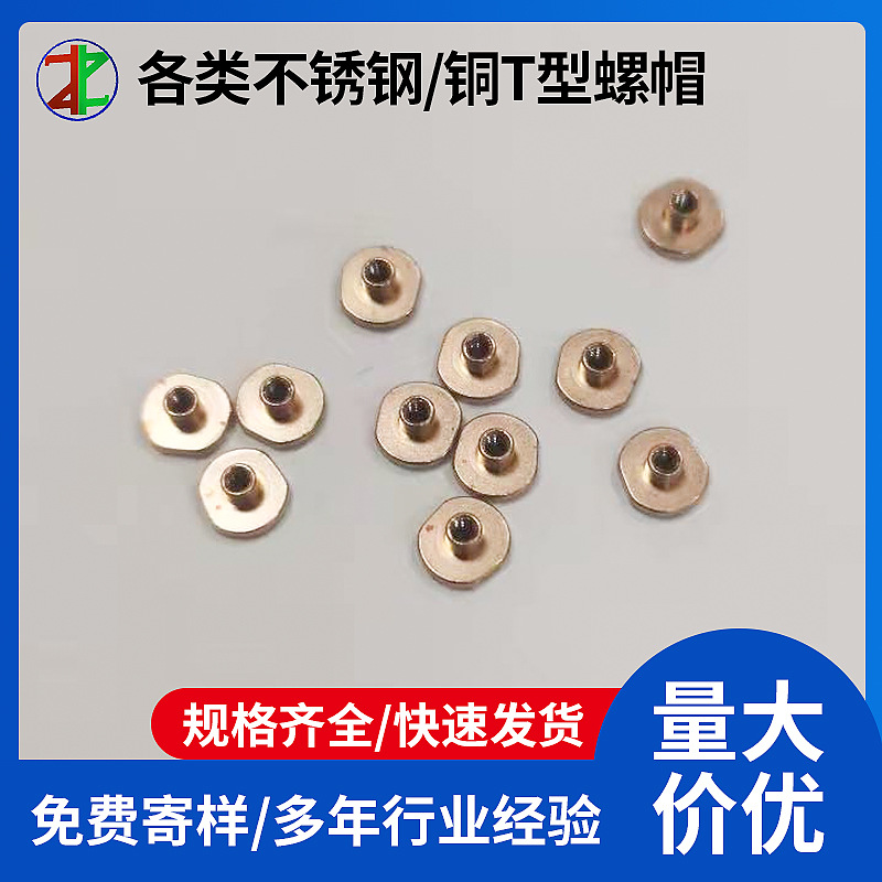 厂家供应各类非标不锈钢螺帽铜T型螺帽螺母可定位现货批发