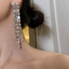 Agile earrings with tassels, Korean style, light luxury style