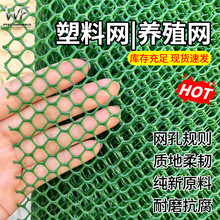 现货批发加厚绿色塑料养殖网鸡鸭漏粪网育雏网养殖围栏塑料网