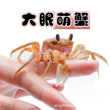 ɳз��Hз�г�з�����^�pз���w����з�߲�С�зҰ���W�t�Ȍ�