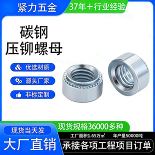 ̼䓉��T��ĸ���X��ĸ�A���k���T�Ӽ�̼䓉��T��ĸCLS-M2M12