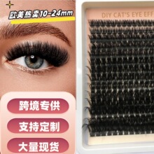 �羳�Լ޽ӷֶμٽ�ë�W�����ܼ޽�10-24mm DIY Segment Lashes