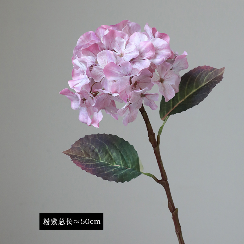 1 # 핑크 보라색