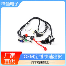 厂家批发摩托车线束德标汽车专用线摩托车仪表盘线束定制
