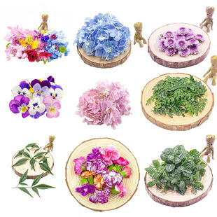 Decorative plate decoration flowers and plants cold vegetables decorative flower baking decorative leaves restaurant private dishes creative shape matching