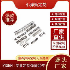 厂家供应各种304不锈钢弹簧压簧小弹簧 精密异形非标小压缩弹簧