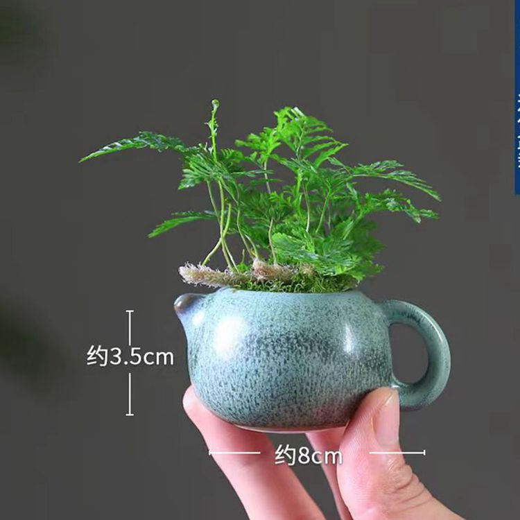 微信图片_20240526161637