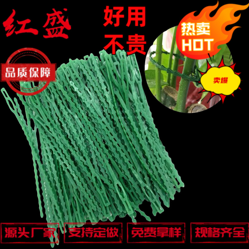 供应可循环使用鱼骨扎带 白色20cm园林pe电源线结束带 1000条/包