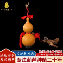 �۸�����^�غ��J��Ȼ���J�Ҿ��b��k���Ҕ[��ľ���J��ˇƷ