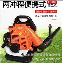 汽油路面吹风机 四冲程除尘背负式吹雪机 落叶清扫除尘机