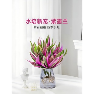 ˮ��ֲ����¶�m���mС�����ͮ���Y�҃Ȼ����k���ҾGֲ�ļ����B��