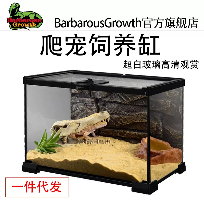 热带雨林缸生态饲养缸客厅造景摆件蜥蜴乌龟寄居蟹爬宠玻璃饲养箱