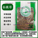 仙桃草中药材仙桃草500克 蚊母草 正品接骨仙桃草英桃草中药材店