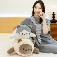 ����ſ�˴���؈�䱧���ɐ��Ȍ�؈��ë�q���˯�X�A����ë�q���