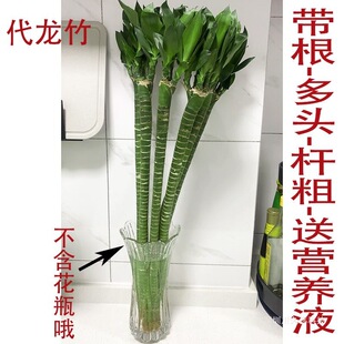 ����ֱ�l�Ĳ�������ˮ�B���F��Ӵֶ��^����͏dˮ�Bˮ��ֲ��