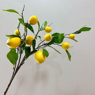 �����֦�L�U���ʹ����҃��쾰�b���ؔ[�����ϼٻ���ˮ��