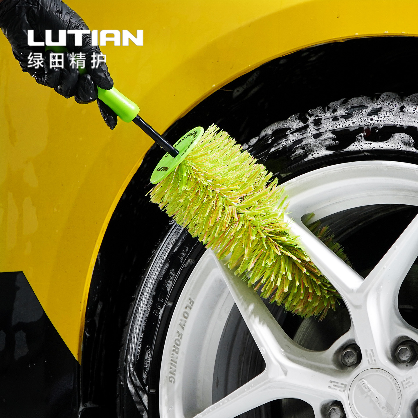 크리스마스 트리 허브 브러쉬 B형