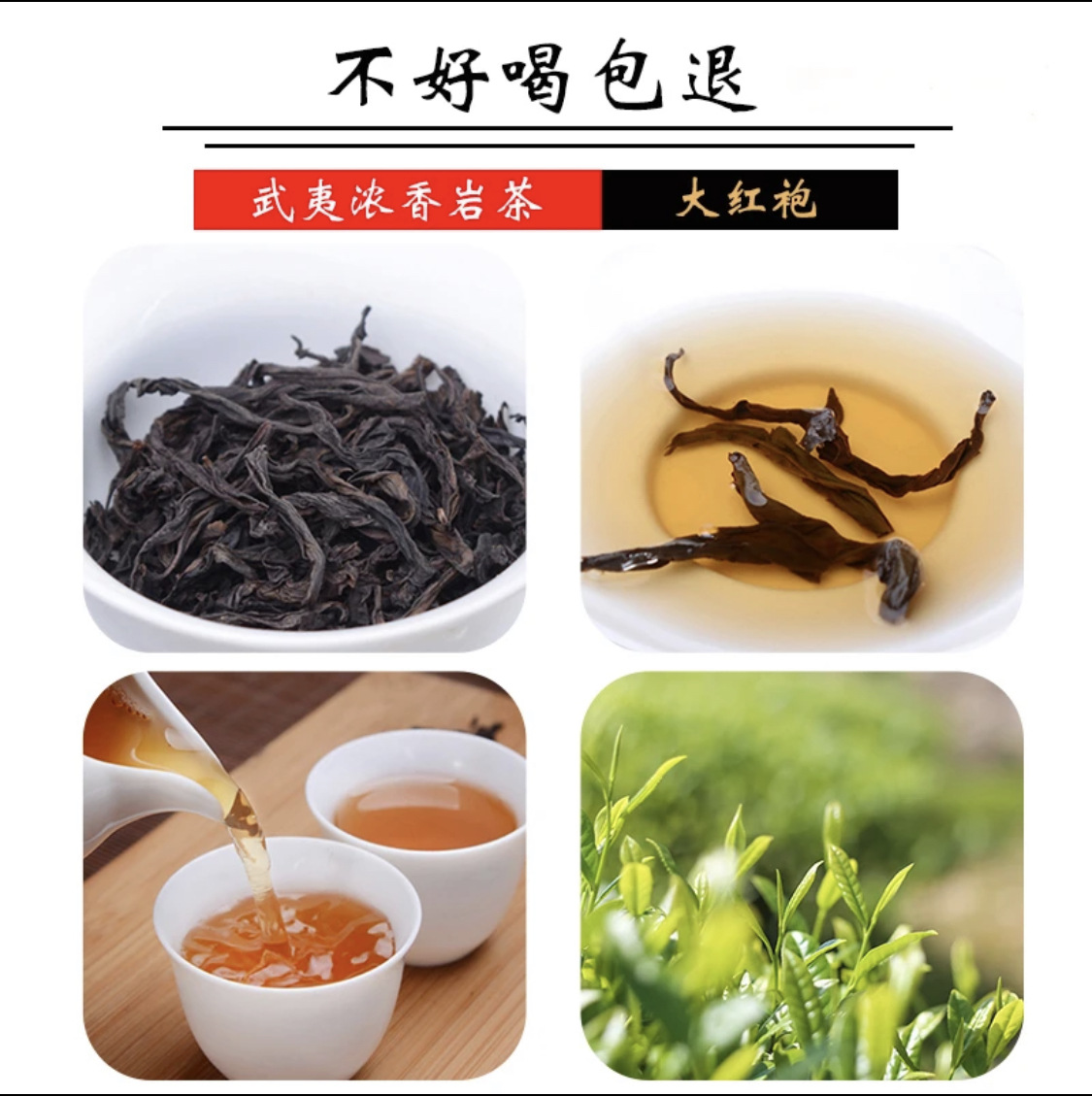 品質好茶 武夷山岩茶大紅袍茶葉 品鑑裝500g濃香型高檔精裝 新品