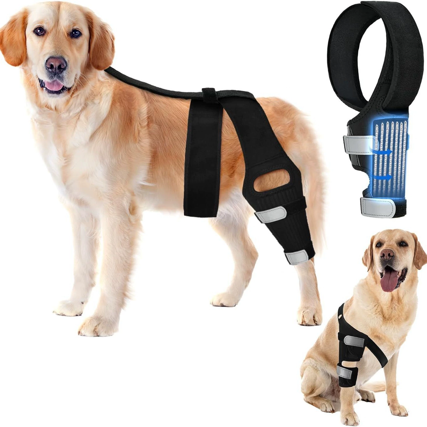 Трансграничные горячие продажи собак ноги ноги наколенники ACL травмы связки